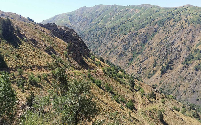 Aksakata valley Chimgan